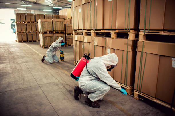Best Termite Control Services  in Markesan, WI