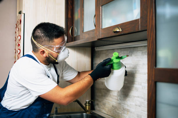 Best Affordable Exterminators  in Markesan, WI
