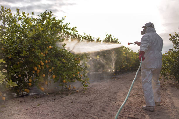 Best Flea Control Services  in Markesan, WI