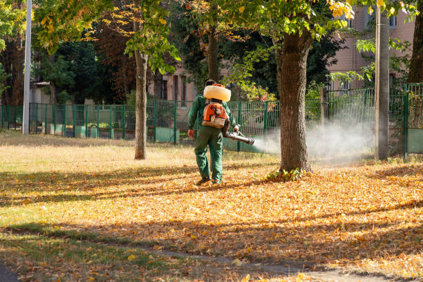 Best Mosquito Control Services  in Markesan, WI