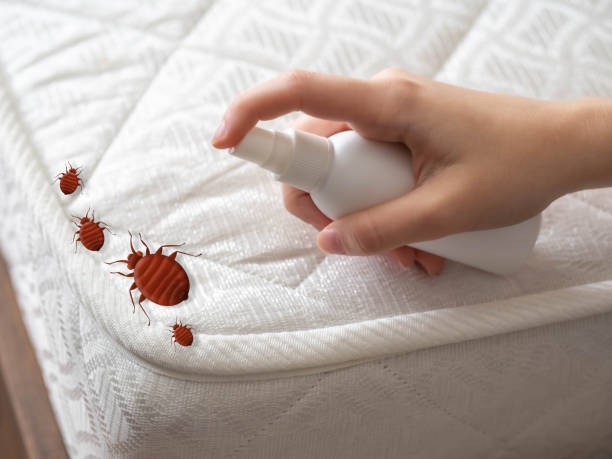 Best Insect Control  in Markesan, WI