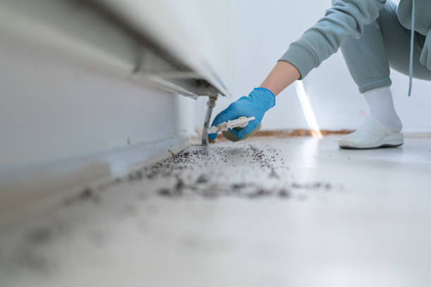 Best Commercial Pest Control Services  in Markesan, WI