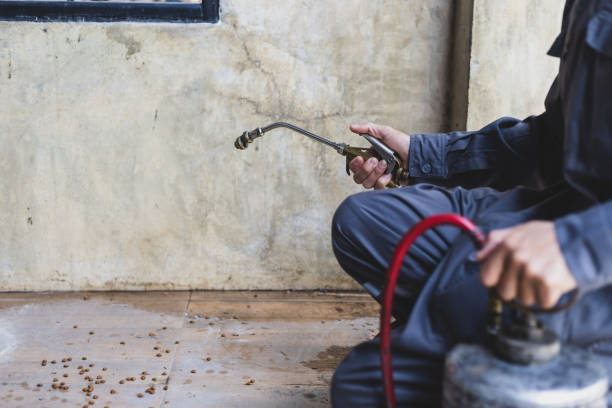 Best Pest Control Near Me  in Markesan, WI